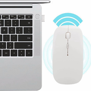 Pilli Kablosuz Mouse Beyaz 800/1200/1600dpi 2.4Ghz Rgb Ledli