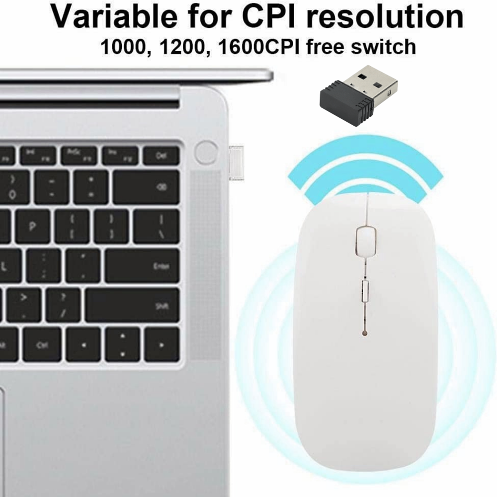 Pilli Kablosuz Mouse Beyaz 800/1200/1600dpi 2.4Ghz Rgb Ledli